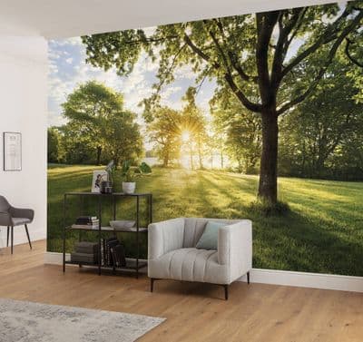 Wallpaper mural Green nature scenery