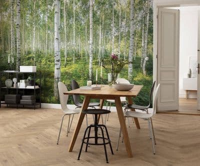 Wallpaper mural Sunny Day forest