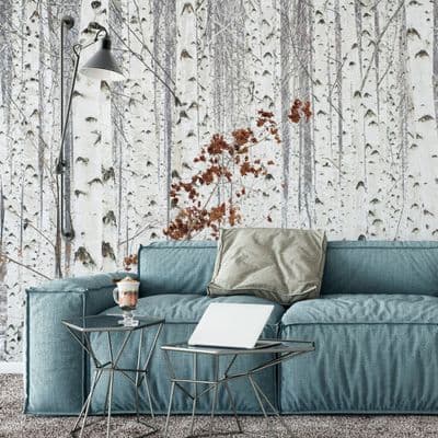 White Birch Forest wall mural wallpaper Premium