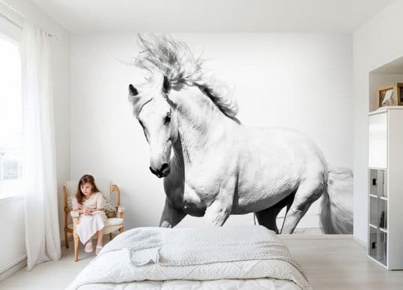 White horse bedroom wall mural | Online shop