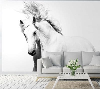 White horse mustang wall mural