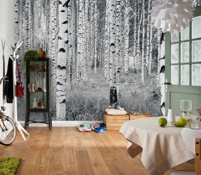 White Kitchen Photo Wallpaper Forest 368x248 cm
