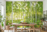 White poplar forest wall mural for bedroom UK shop