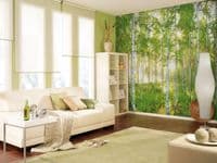 White poplar forest wall mural for bedroom UK shop