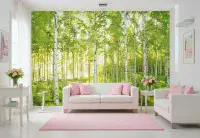 White poplar forest wall mural for bedroom UK shop