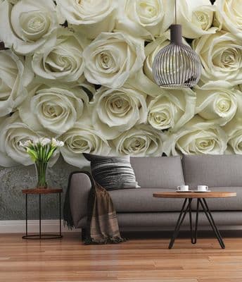 White Roses wall mural for wall