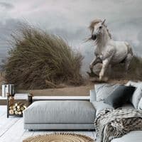 Living room photo wallpapers White Wild Horse  | Shop online