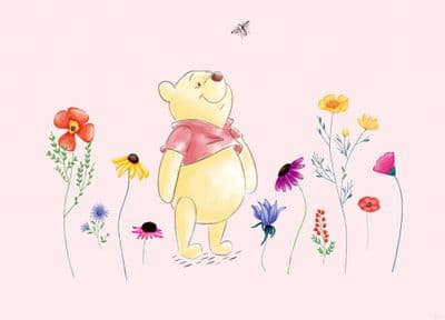 Winnie The Pooh wall mural wallpaper 160x110cm