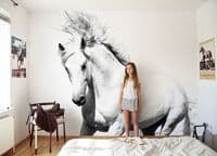White horse mustang wallpaper murals by Homewallmurals