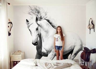 XL White horse Mustang wall mural