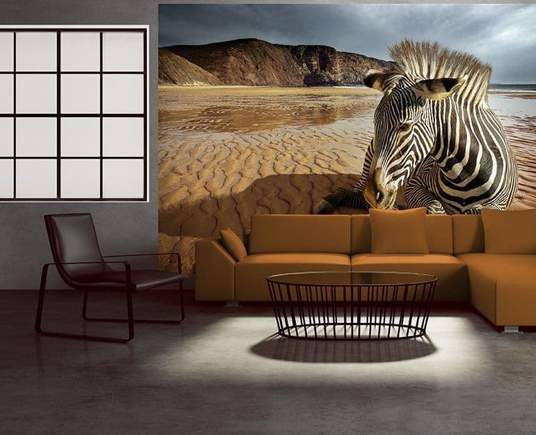 Wild Zebra wall murals Homewallmurals.co.uk