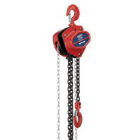 SEALEY 2 Tonne Chain Block 3m Drop CB2000-1-73