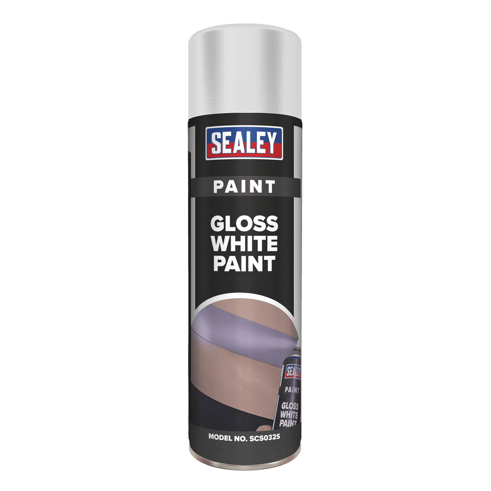 White Gloss Paint 500ml