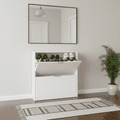 Brilo Matt White 2 Drawer Shoe Cabinet - 2893