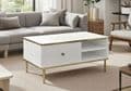Maison White And Gold Coffee Table - 3149