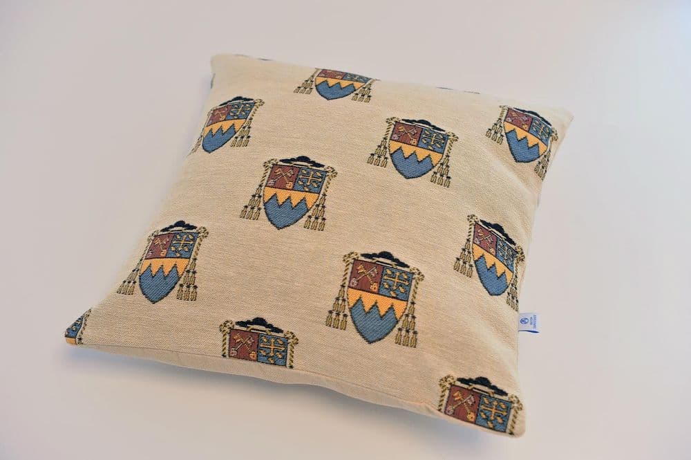 Large Cushion cover