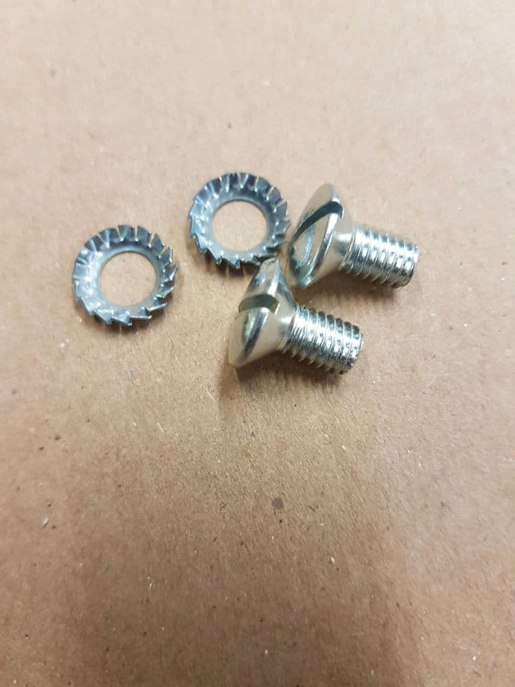STAINLESS STEEL PANEL HANDLE SCREWS AND CONIC WASHER X 2