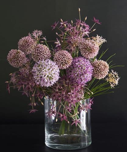 A Gathering of Alliums - SOLD