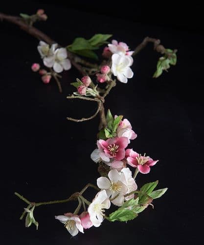 Apple blossom stems - SOLD