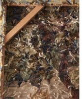 Aubusson Verdure large needlework mounted panel - SOLD