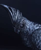 Black cockatoo on roses - SOLD