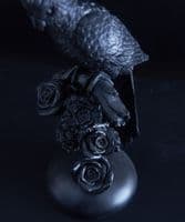 Black cockatoo on roses - SOLD