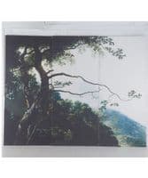 Boho &Co trees backdrop