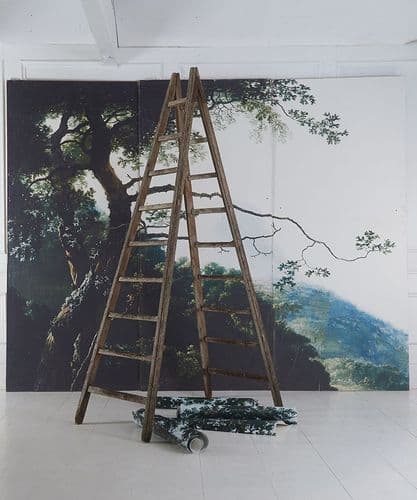 Boho &Co trees backdrop
