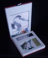 Chinese brushing painting kit - SOLD