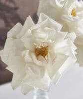 Classic rose posy in glass - SOLD