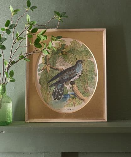Cuckoo watercolour in gold mount
