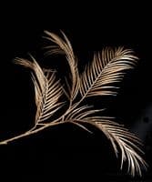 Decorative gold fern stem