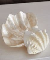 Decorative white (real) shells - SOLD