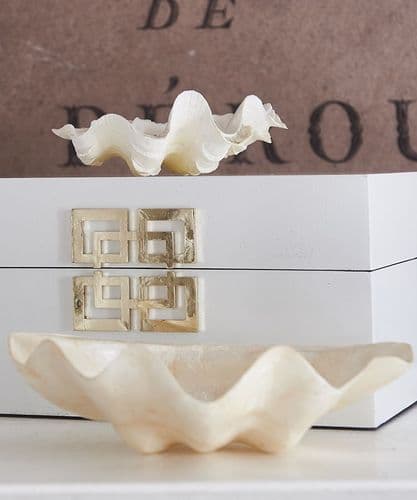 Decorative white (real) shells - SOLD