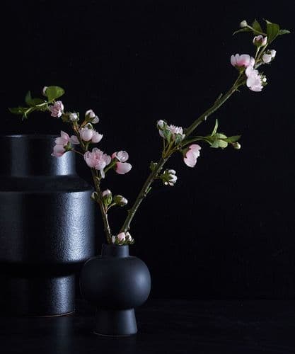 Delicate blossom in small black vase - SOLD