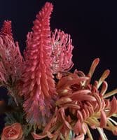 Exotic coral bouquet - SOLD