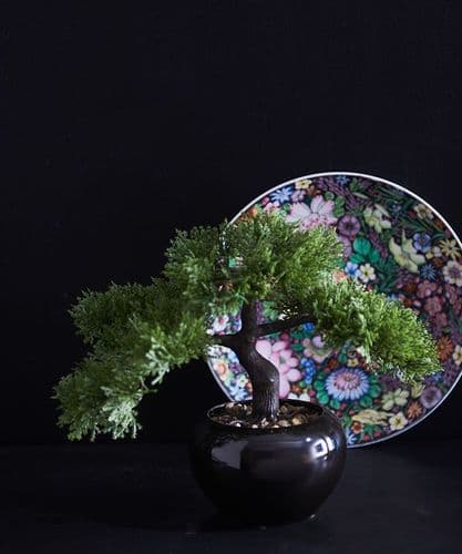Faux bonsai in black pot