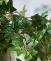 Faux ivy vine - multi stem - SOLD