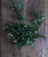 Faux ivy vine - multi stem - SOLD