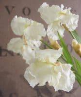Faux white flag irises in vase - SOLD