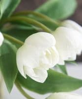 Faux white tulips in glass vase - SOLD