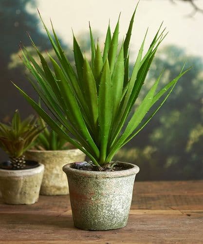 Faux Yucca plant in distressed pot - SOLD