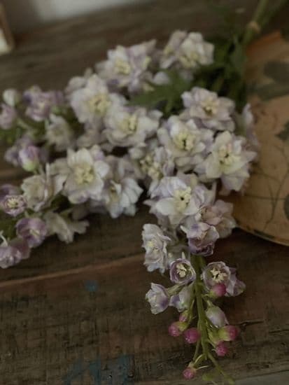 FOREVER FLOWERS