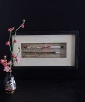 Framed Chinese calligraphy brushes