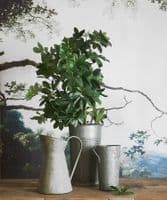 Galvanized florists flower vases - SOLD