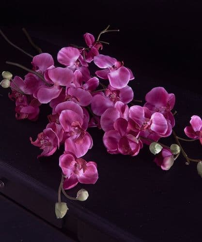 Giant pink orchid stems - SOLD