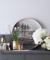 Giant plate on stand