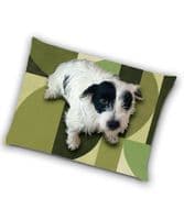 Jack's House luxury dog bed cushion - Modernist