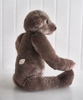 Large brown ted