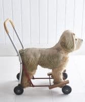 Large dog on wheels